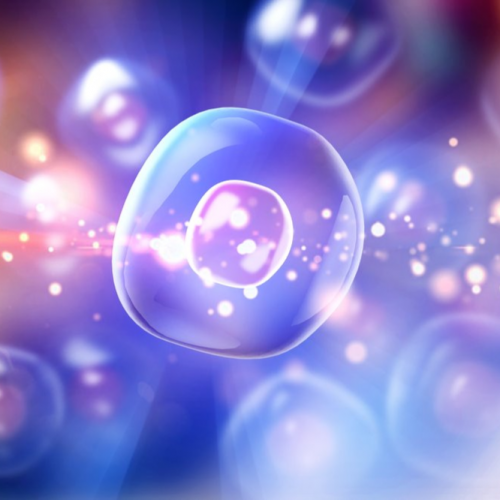  Bio Placenta - Tái sinh làn da đẹp rạng ngời