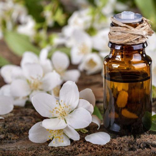 Grapefruit Essential Oil - tinh dầu hoa bưởi