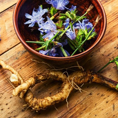 Inulin - Hé lộ thủ thuật sở hữu làn da đẹp không tỳ vết