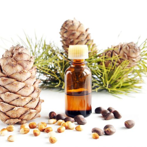 Cedarwood Essential Oil - Tinh dầu gỗ tuyết tùng