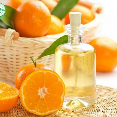 Mandarin Essential Oil - Tinh dầu quýt