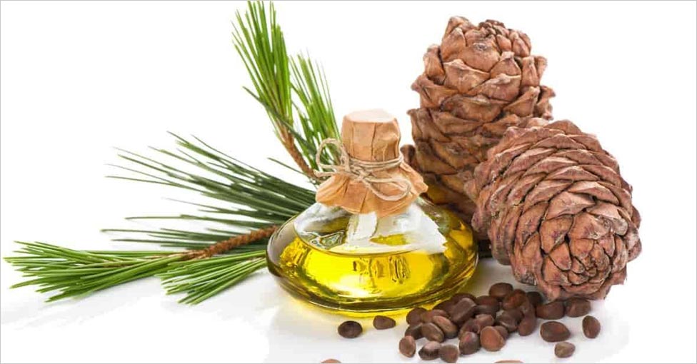 cedar-wood-oil-large_b2877ca4790e45649943886f25a5d2d5