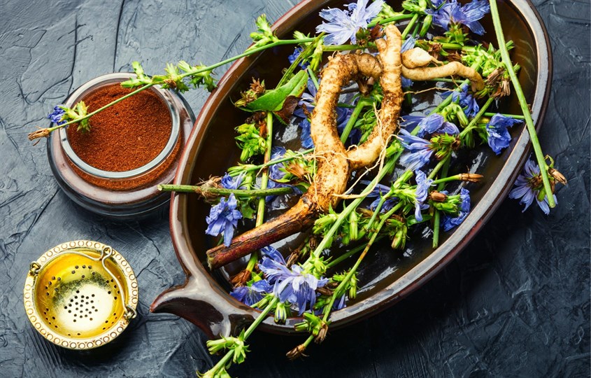 inulin-la-gi-co-tac-dung-gi-doi-voi-he-tieu-hoa-11-845x540