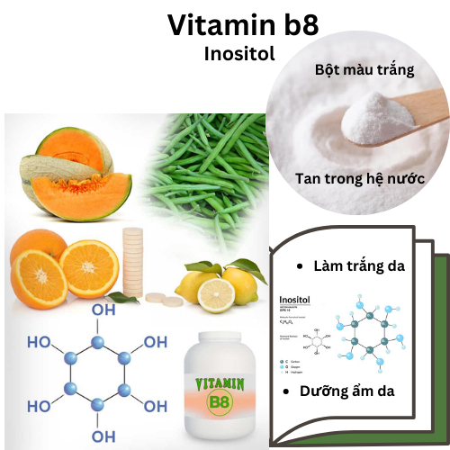vn-11134207-7r98o-lnr138pzt4e25a